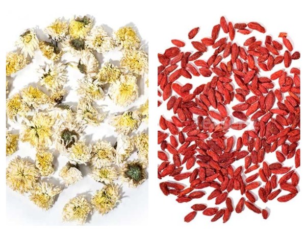 Chrysanthemum and Goji